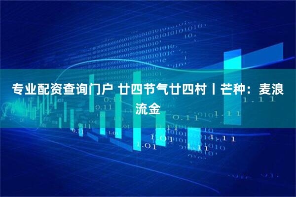 专业配资查询门户 廿四节气廿四村丨芒种：麦浪流金